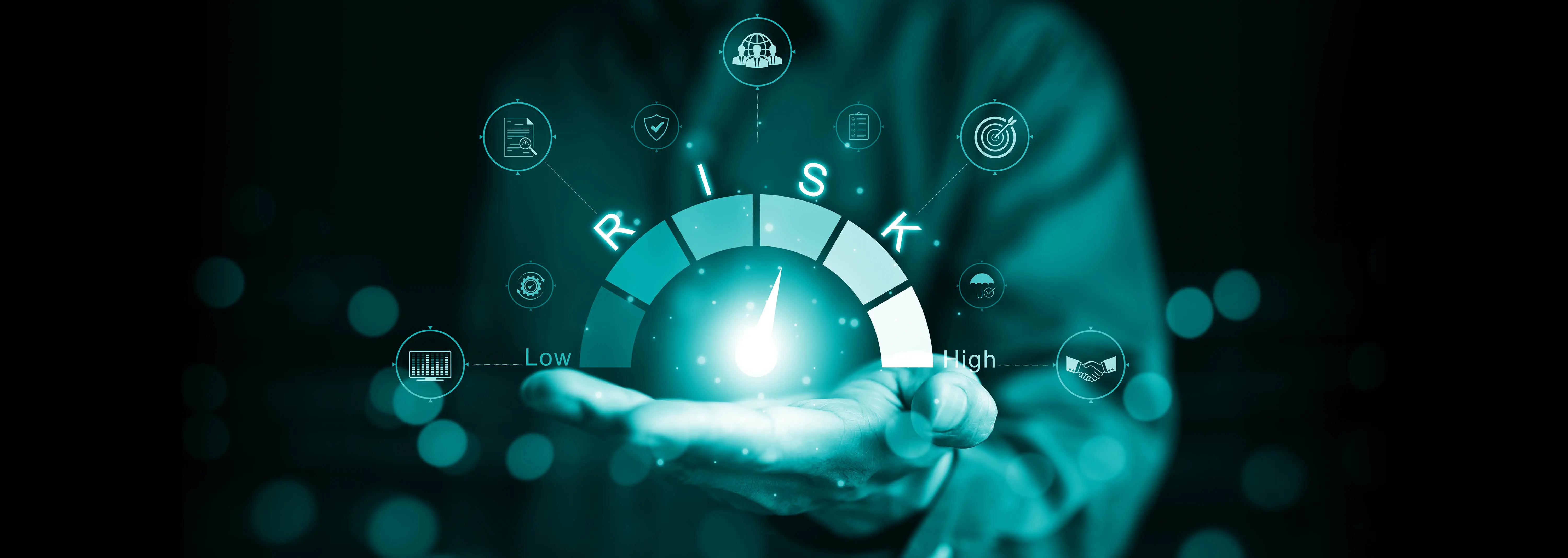 Risk Management | Granite Rose Consulting
